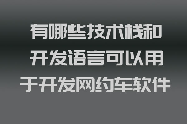 有哪些技術(shù)棧和開發(fā)語言可以用于開發(fā)網(wǎng)約車軟件_網(wǎng)約車軟件開發(fā)_網(wǎng)約車軟件移動開發(fā)_網(wǎng)約車軟件后端開發(fā)_網(wǎng)約車軟件前端開發(fā)